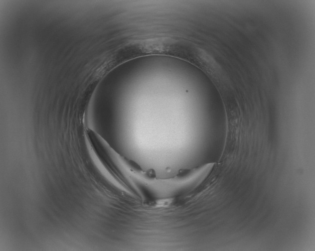 X0000052640125200507011356