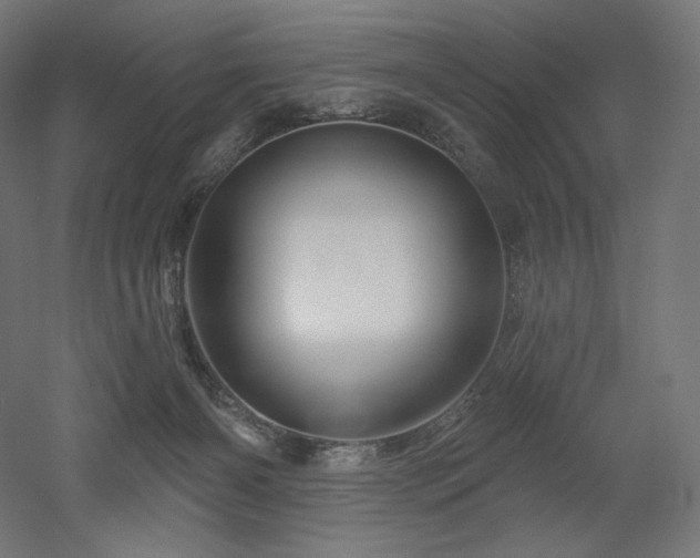 X0000052640126200507011356