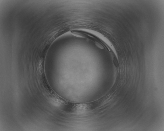 X0000052640127200507011356