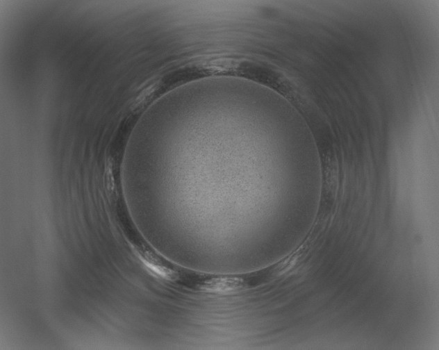 X0000052640128200507011356