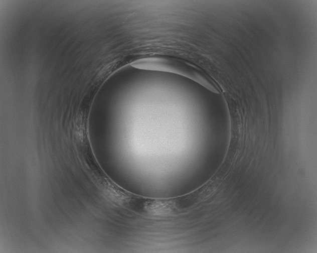 X0000052640129200507011356