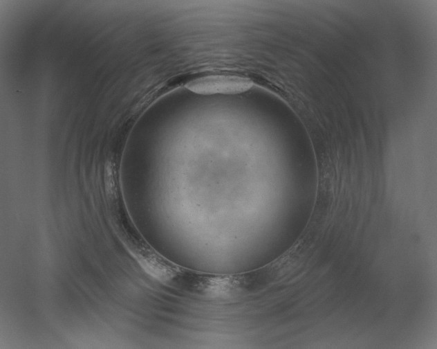 X0000052640130200507011356