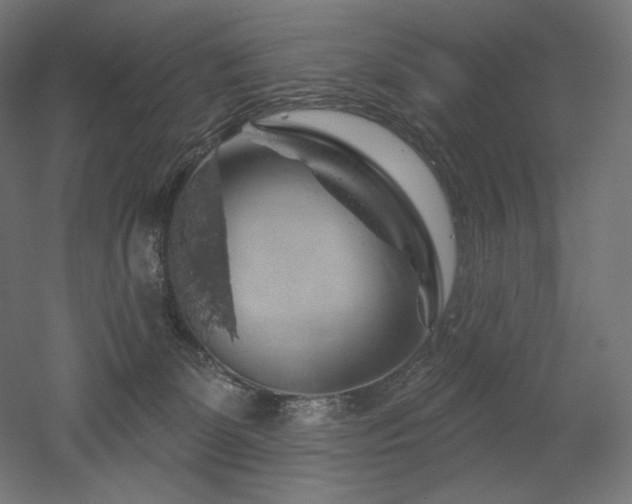 X0000052640131200507011356