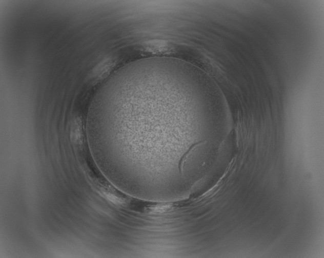 X0000052640132200507011356