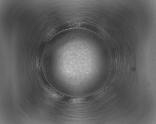 X0000052640134200507011356