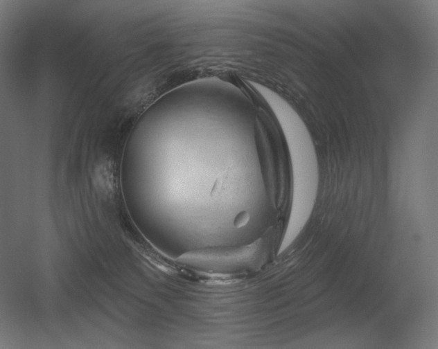 X0000052640135200507011356