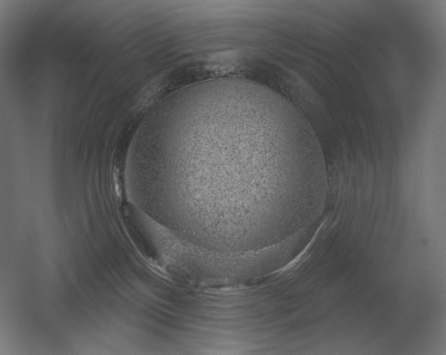 X0000052640136200507011356