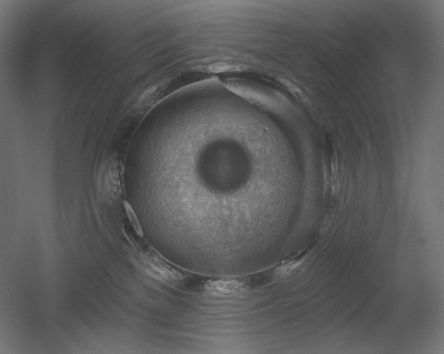 X0000052640137200507011356