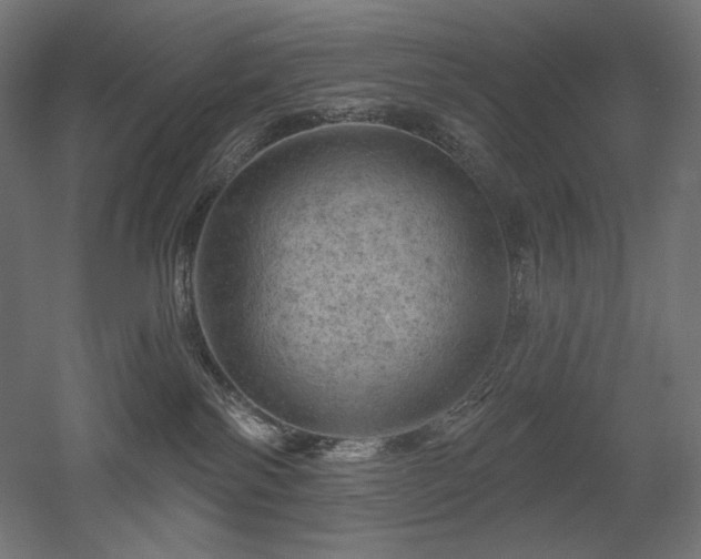 X0000052640138200507011356