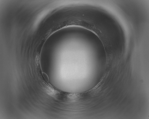 X0000052640142200507011356