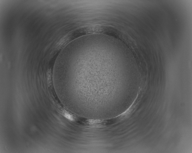 X0000052640144200507011356