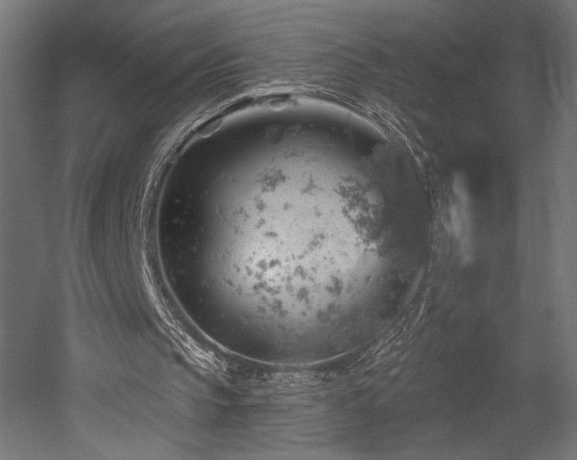 X0000052640145200507011355