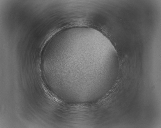 X0000052640146200507011355