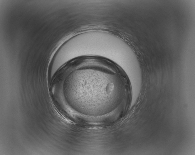 X0000052640148200507011355