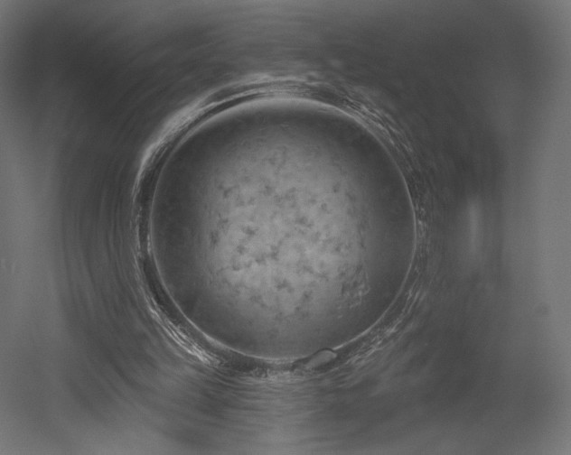 X0000052640149200507011355