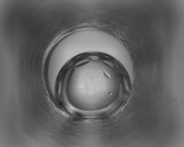 X0000052640150200507011355