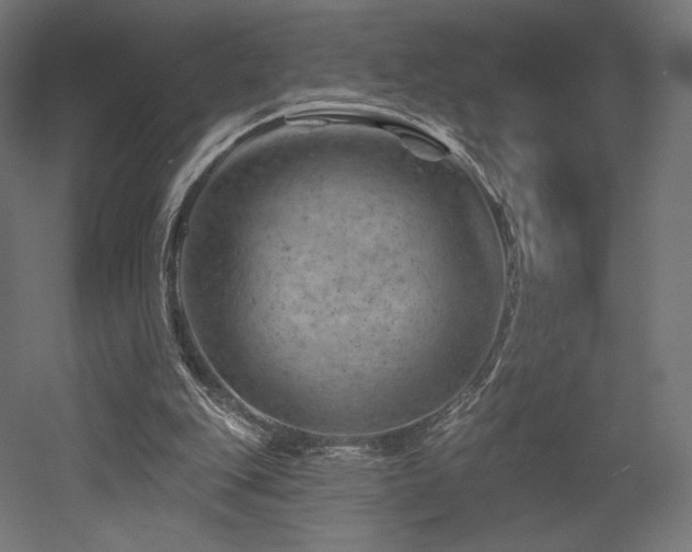 X0000052640151200507011355