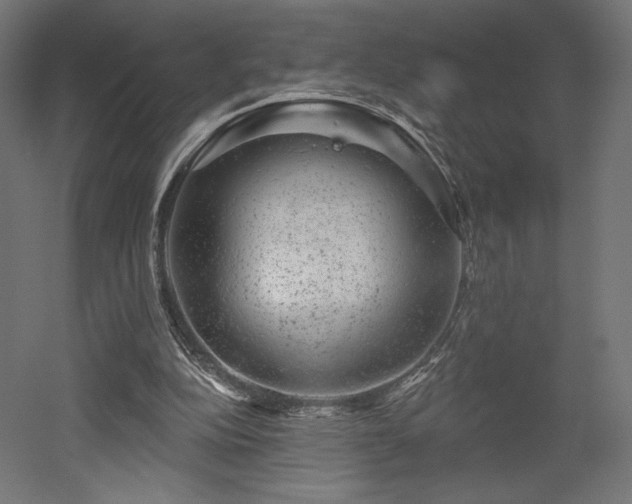 X0000052640152200507011355