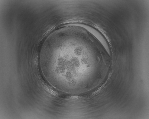 X0000052640153200507011355