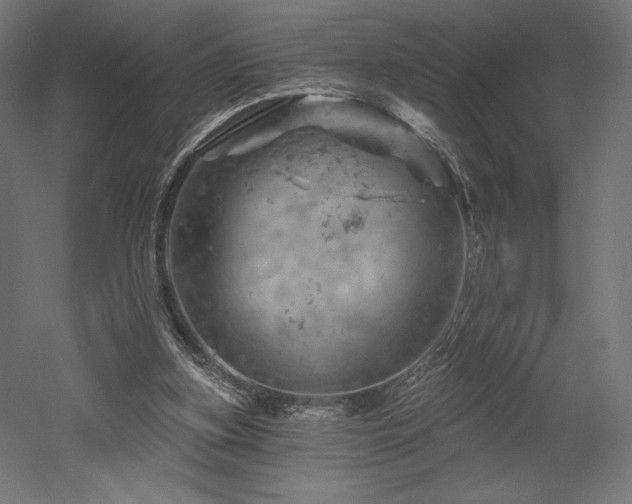 X0000052640155200507011355