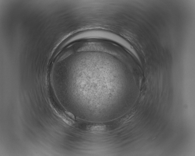 X0000052640156200507011355