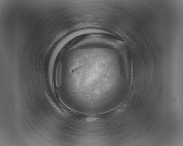 X0000052640158200507011355