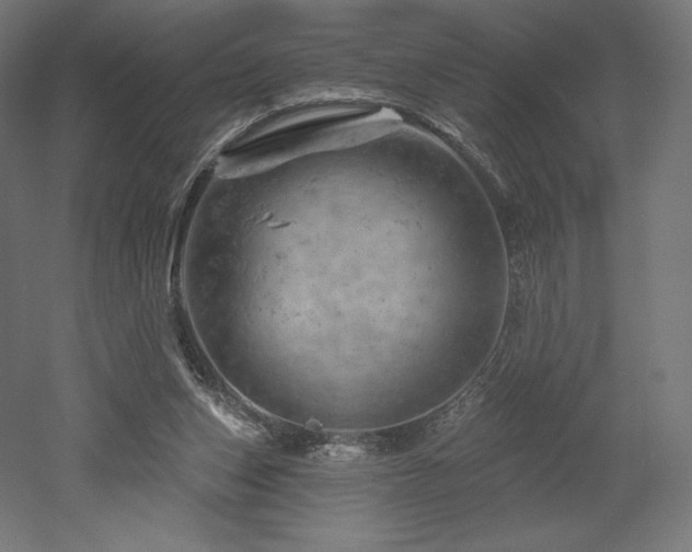 X0000052640159200507011355