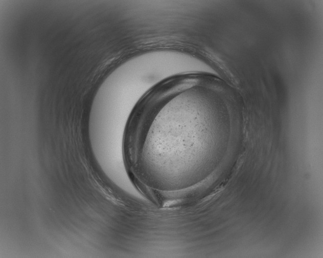 X0000052640161200507011355