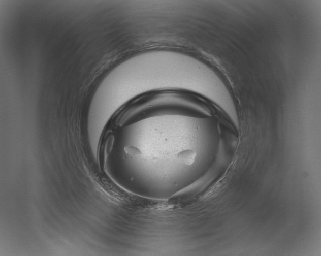 X0000052640162200507011355