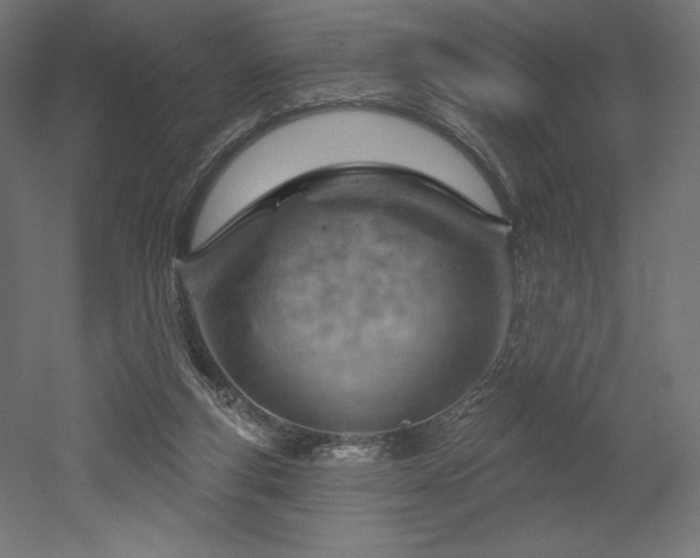 X0000052640163200507011355