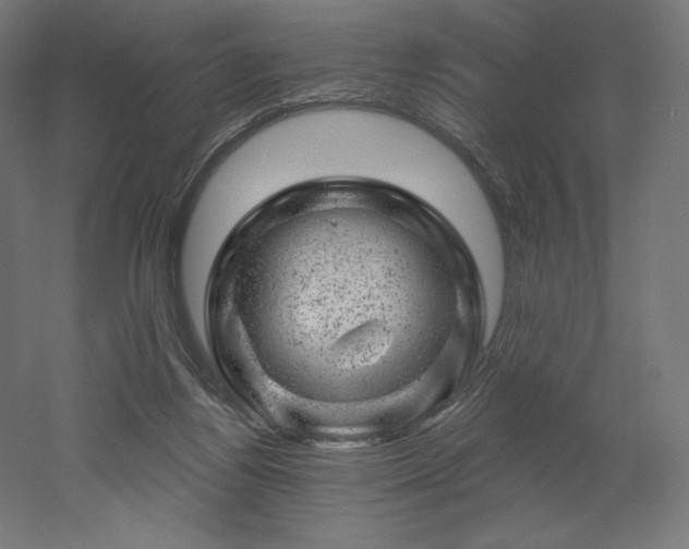 X0000052640164200507011355