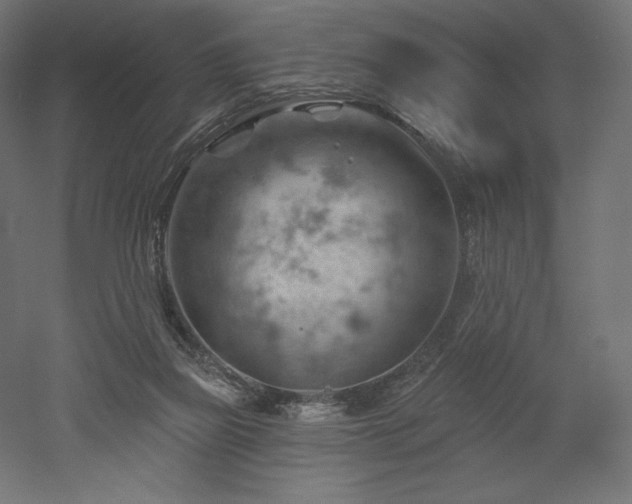 X0000052640165200507011355