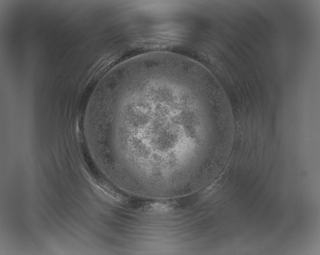 X0000052640166200507011355