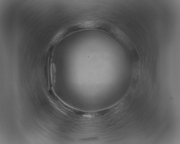 X0000052640167200507011355