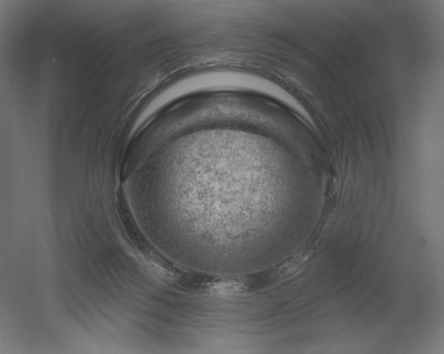 X0000052640168200507011355