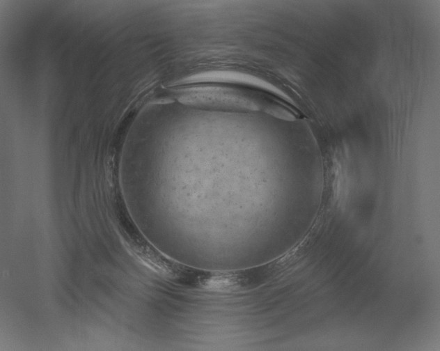 X0000052640171200507011355