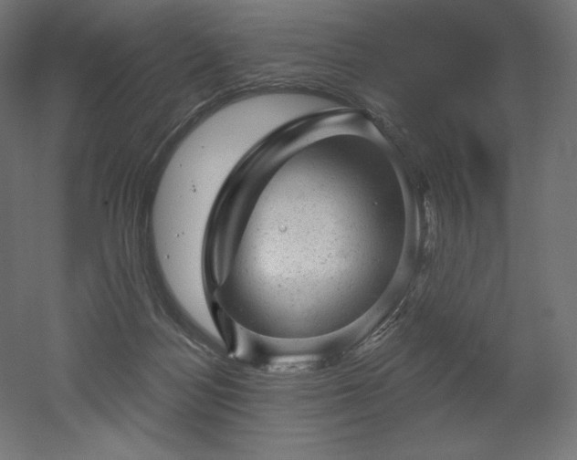 X0000052640172200507011355