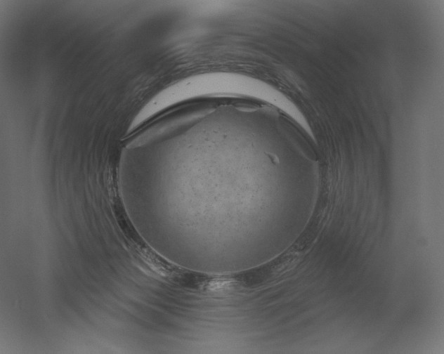 X0000052640173200507011356