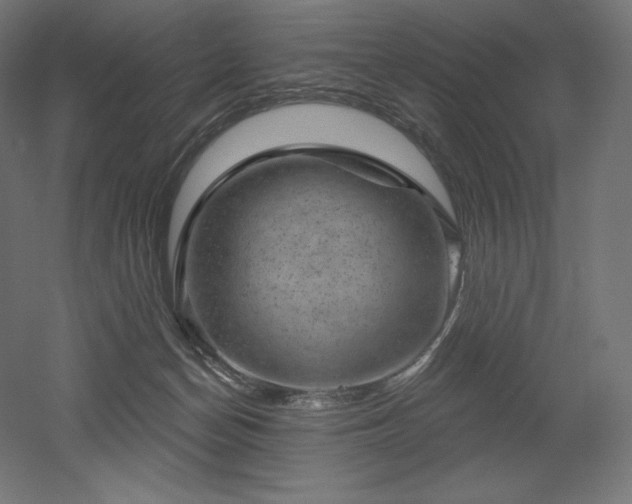 X0000052640174200507011356