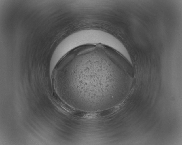 X0000052640175200507011356