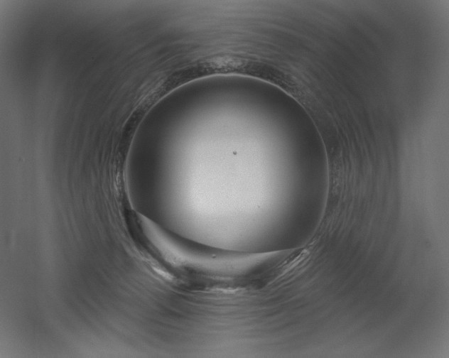 X0000052640176200507011356