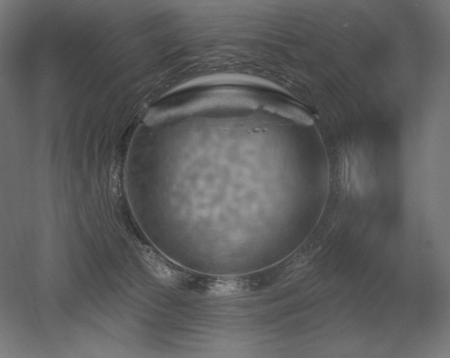 X0000052640177200507011356