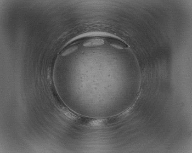 X0000052640178200507011356