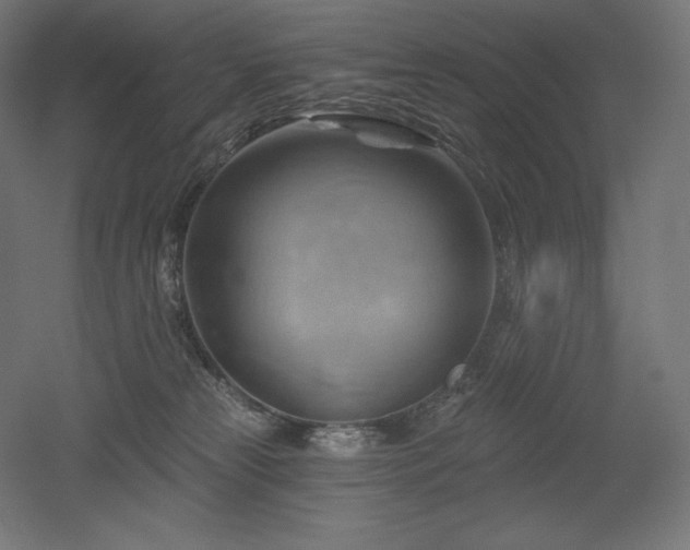 X0000052640181200507011356