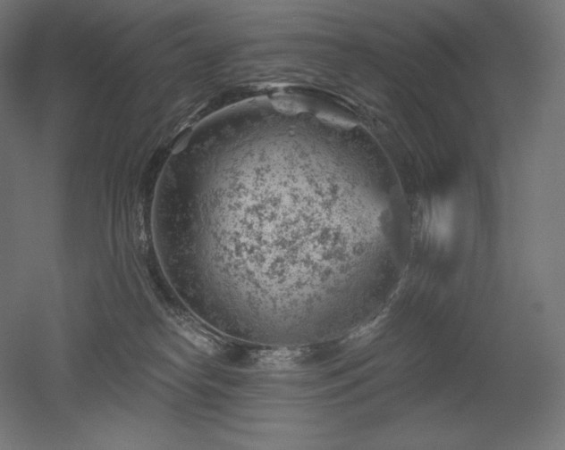 X0000052640182200507011356