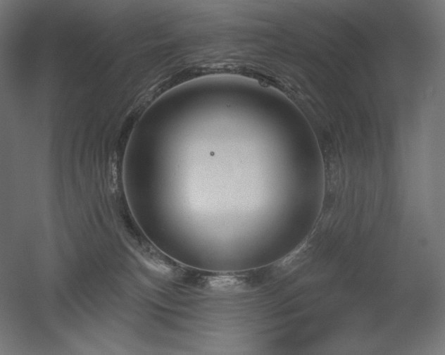 X0000052640183200507011356