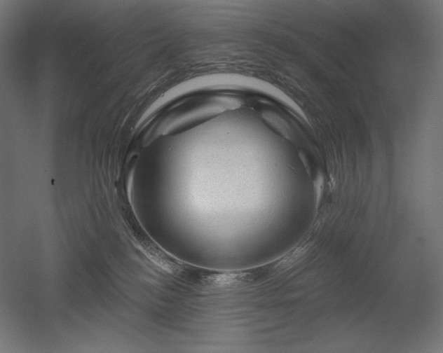 X0000052640184200507011356