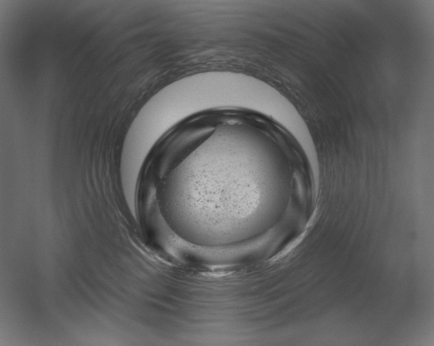 X0000052640186200507011356