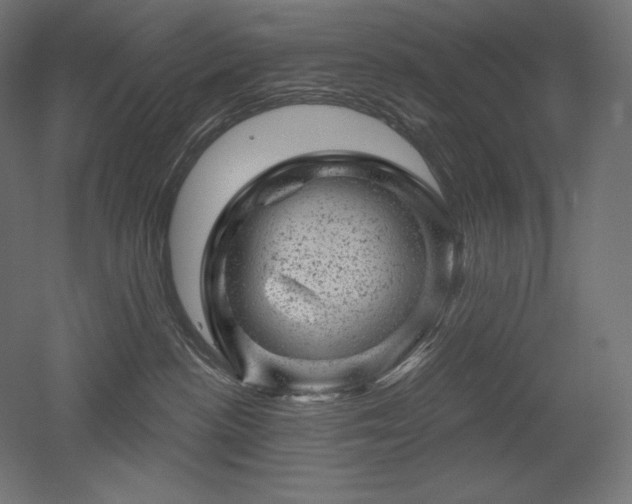 X0000052640188200507011356