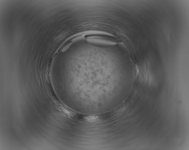 X0000052640189200507011356